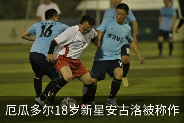 厄瓜多尔18岁新星安古洛被称作“厄瓜多尔版哈兰德