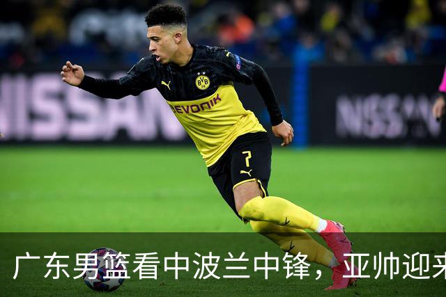 广东男篮看中波兰中锋，亚帅迎来新助手